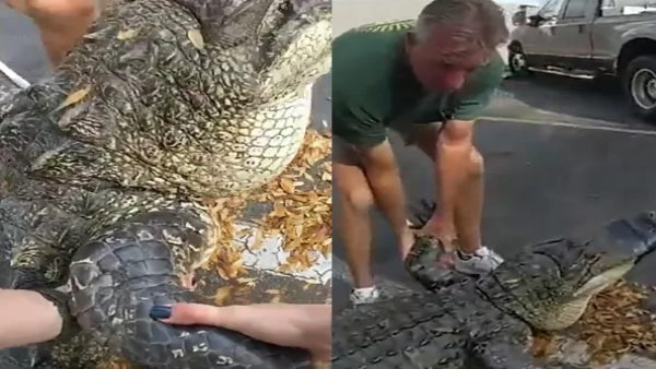 कार के नीचे मॉन्स्टर! 