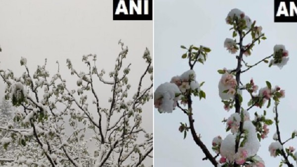 हिमाचल में हुई बर्फबारी