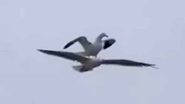 लोगों को आई टाइटैनिक फिल्‍म के पॉपुलर सीन की याद