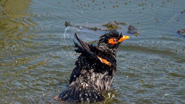 आखिर 'मानसून' कहते किसे हैं? 