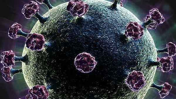 हजारों साल तक निष्क्रीय रहते हैं वायरस