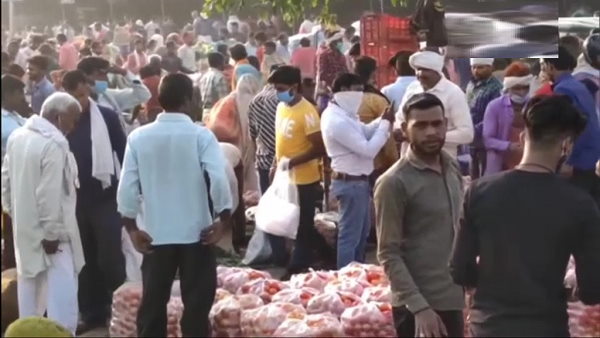 huge crowd in vegetables market of Moradabad Uttar Pradesh, people were seen without mask, breaking Social distancing