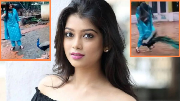 मोर ने किया दिगांगना पर हमला