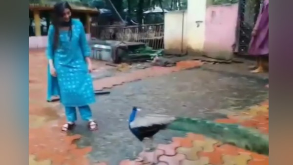 यूजर्स ने कही मजेदार बात