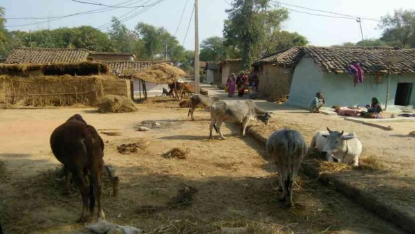 गांव के दो नौजवानों को है बाहर जाने की इजाजत