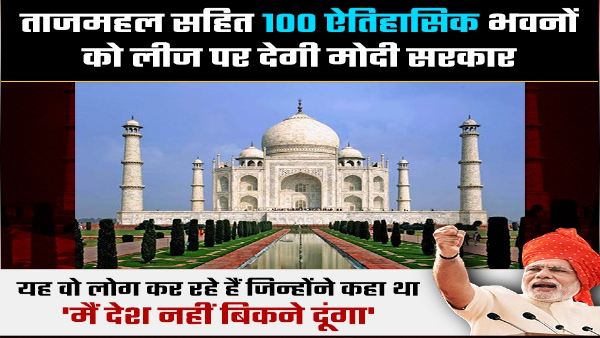 fact check fact check