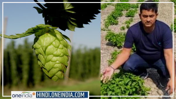 अमरेश सिंह, किसान, औरंगाबाद, बिहार अमरेश सिंह, किसान, औरंगाबाद, बिहार