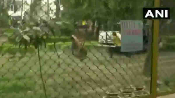 One person injured after being attacked by a leopard in Green Belt Park in Jammu One person injured after being attacked by a leopard in Green Belt Park in Jammu