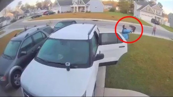 महिला पर बिल्ली ने किया हमला