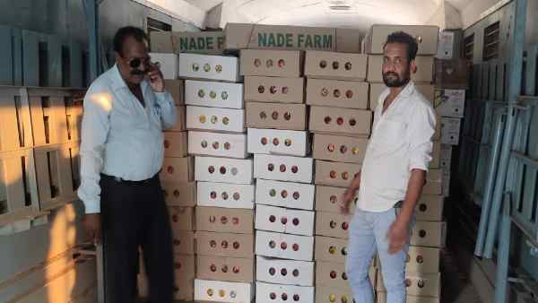 एक किसान ने की 4 लाख रुपये की ज्यादा कमाई