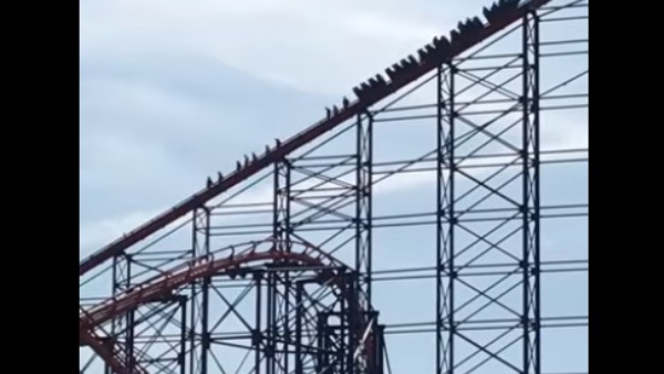 ब्रिटेन का सबसे लंबा रोलर कोस्टर