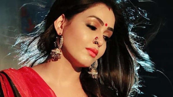 शुभांगी ने इन-इन सीरियल्‍स में किया है काम