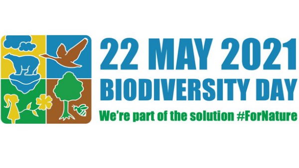  international day for biological diversity, International Day for Biological Diversity 2021, Biological Diversity day, bio diversity day 2021, international day for Biological Diversity quotes, Biological Diversity day quotes, Biological Diversity day wishes and quotes, International Day for Biological Diversity whatsapp status, International Day for Biological Diversity facebook status, International Day for Biological Diversity 2021, International Day for Biological Diversity SMS, International Day for Biological Diversity, Happy International Day for Biological Diversity,International Day for Biological Diversity Greetings,International Day for Biological Diversity Significance,International Day for Biological Diversity Wishes, Biological, Diversity, पर्यावरण