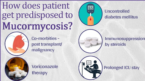 कोई व्यक्ति म्यूकरमाइकोसिस से कैसे संक्रमित हो जाता है?