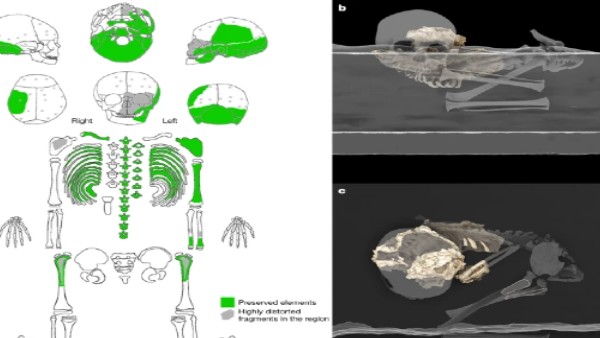 कई हिस्से मिले संरक्षित