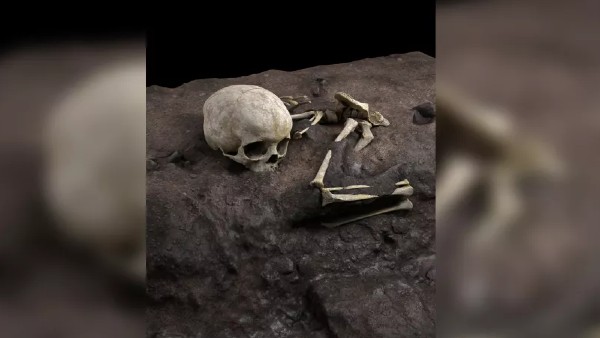 कब्र में थे आभूषण और चढ़ावा