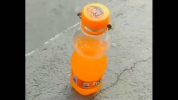 ढक्कन खोलकर बुझाई प्यास ढक्कन खोलकर बुझाई प्यास