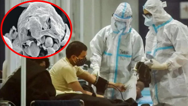 बच्चों और महिलाओं के लिए भी खतरे की घंटी