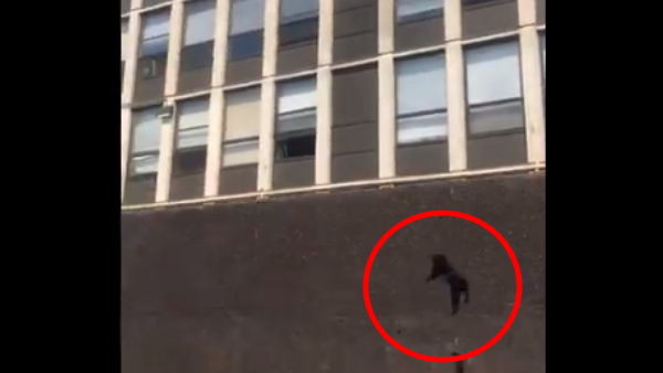 पैराशूट की तरह जमीन पर किया लैंड