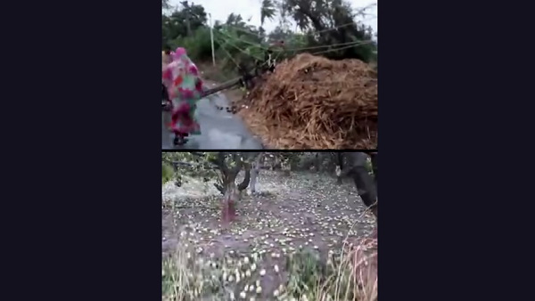 कई-कई फीट तक पानी भरा कई-कई फीट तक पानी भरा