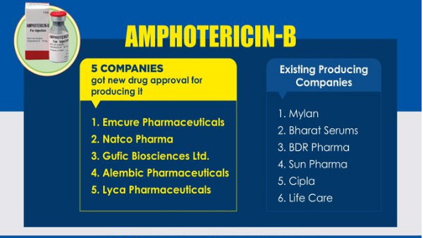 Black Fungus curing drug Amphotericin Bs shortage will be resolved soon