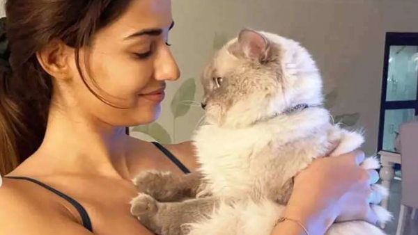 दिशा को अपनी कैट्स पर आया प्यार दिशा को अपनी कैट्स पर आया प्यार