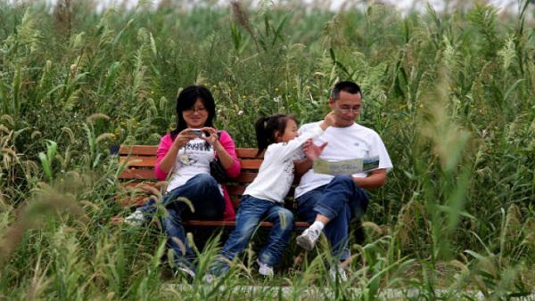 international family day 2021 international family day 2021