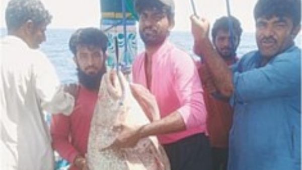 मछली ने लखपति बनाया मछली ने लखपति बनाया