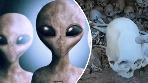 1920 के दशक में खोजे गए थे ये कंकाल 1920 के दशक में खोजे गए थे ये कंकाल