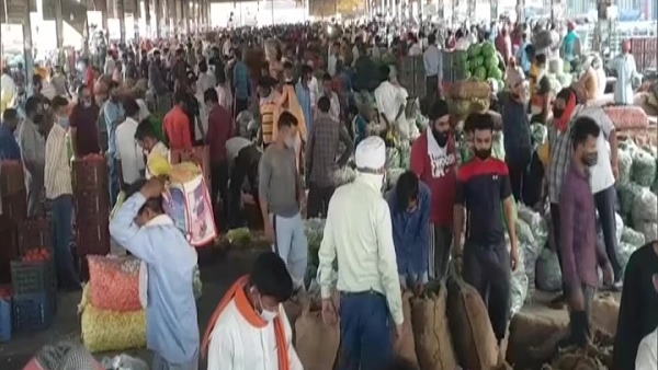Thousands of people gathered in Ludhiana vegetable market Punjab, breaking Social distancing