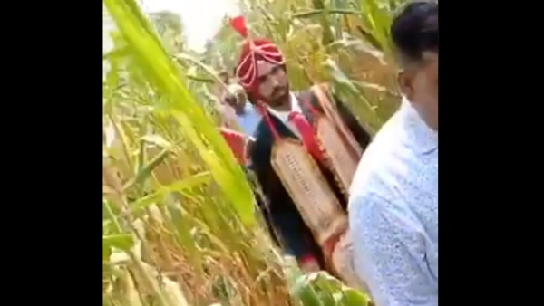 मक्के के खेत से निकली बारात