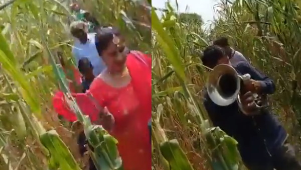 वायरल हुआ वीडियो