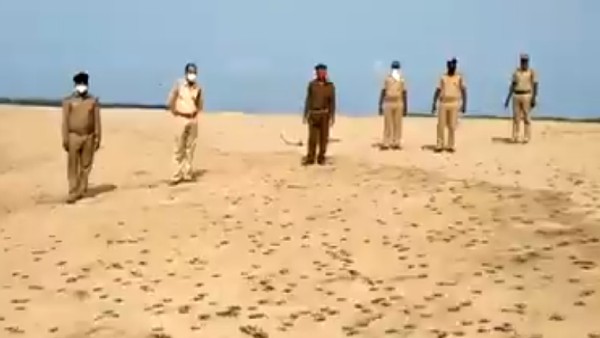 1.48 करोड़ नए कछुए