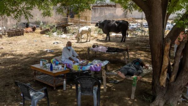 'ऑक्‍सीजन लेवल बढ़ाने के लिए नीम के पेड़ के नीचे जाना पड़ता है'