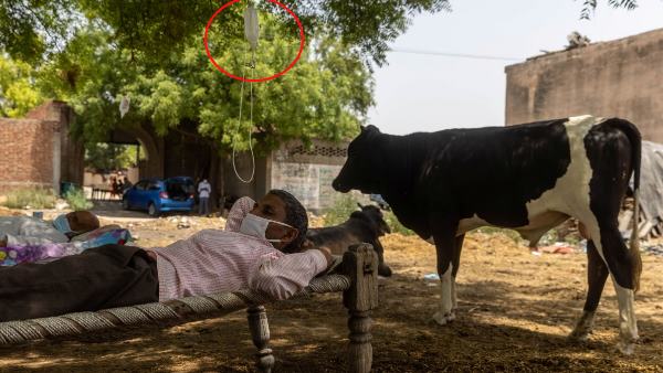 पेड़ के नीचे खाट पर लेटकर करवा रहे इलाज