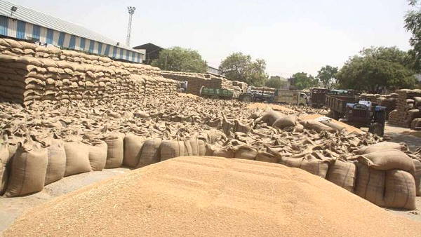 Haryana Govt wheat procurement stopped in many districts , outraged farmers says- where is Khattar government ?