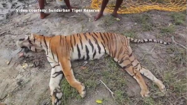 लोगों ने अपनी संवेदनाएं व्यक्त की