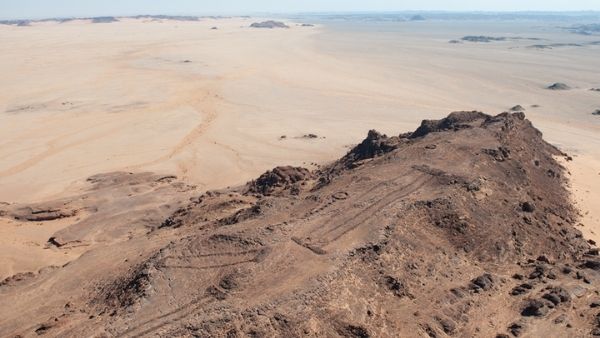 होती थी गायों की पूजा ! होती थी गायों की पूजा !