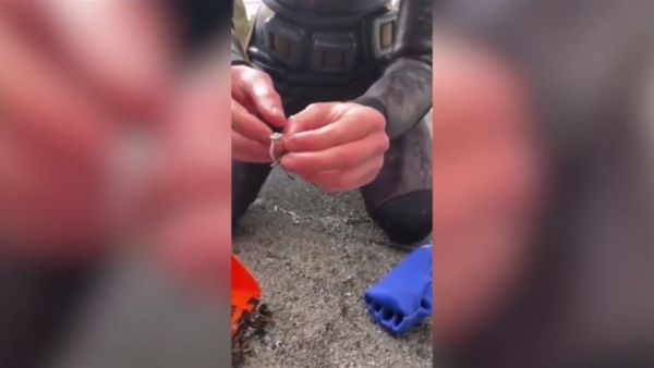 असंभव था रिंग को खोजना असंभव था रिंग को खोजना