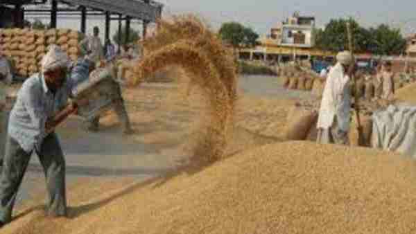 क्या रेट है अभी आटे का