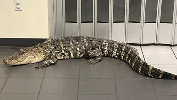 फेसबुक पर वायरल हुई फोटो