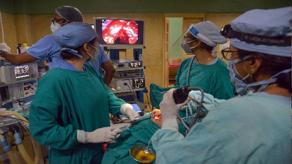 black fungus black fungus