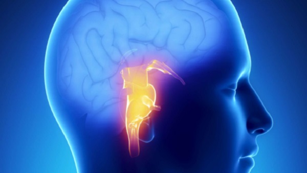 क्या होता है ब्रेड डेड क्या होता है ब्रेड डेड