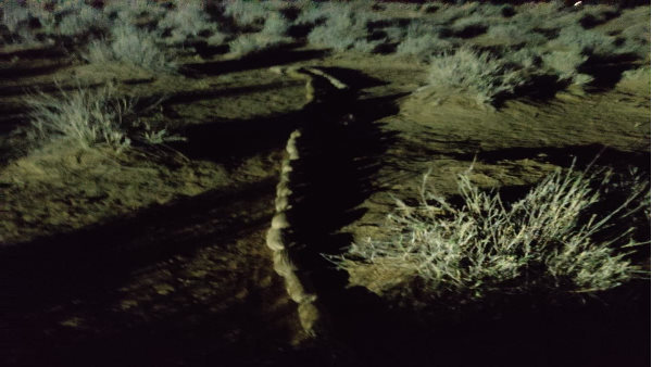 बीएसएफ जवानों को पांच लाख का ईनाम बीएसएफ जवानों को पांच लाख का ईनाम