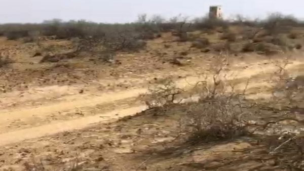 जवानों ने की अंधाधुंध फायरिंग जवानों ने की अंधाधुंध फायरिंग