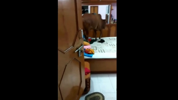 बैडरूम को कर दिया गंदा बैडरूम को कर दिया गंदा