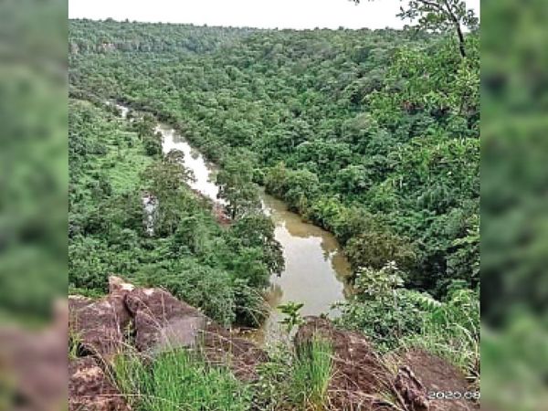 rakesh tikait on forest land water save rakesh tikait on forest land water save