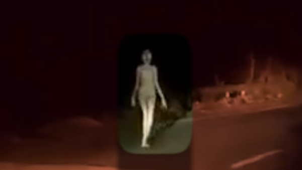 विचित्र प्राणी को देख लोगों ने किया पीछा विचित्र प्राणी को देख लोगों ने किया पीछा