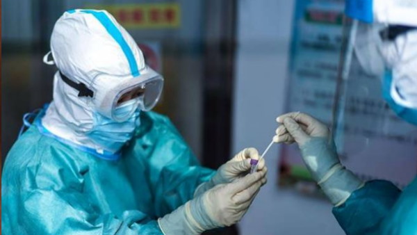 uttar pradesh reported 291 fresh cases in last 24 hours uttar pradesh reported 291 fresh cases in last 24 hours