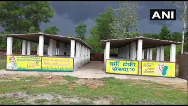 पुलिस गोबर चोरों की तलाश में जुटी पुलिस गोबर चोरों की तलाश में जुटी